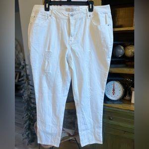 Cato fashion est. 1946 girlfriend denim distressed ankle jeans 18w. New!